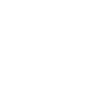 SWINS.webp